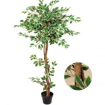 plante-artificielle-ficus-vert-marbre-blanc-h